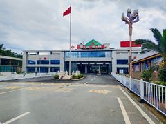-打洛口岸