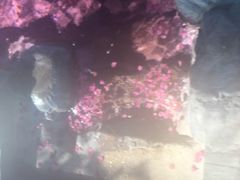 -森波拉火山温泉