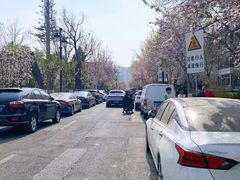 -民园广场
