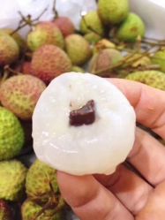 -爱乐婴童水育早教中心·儿童游泳中心(田园商业广场店)