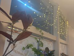 -Deer Park鹿园西餐(仁恒置地广场店)