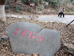 -潜山国家森林公园