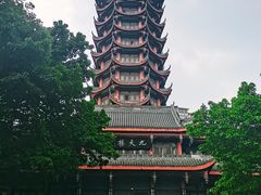 -塔子山公园