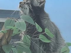 -青藏高原野生动物园
