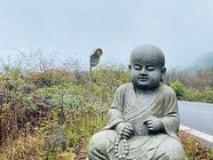 -武陵山森林公园
