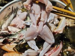 -石锅苗苗鱼(武汉首店)