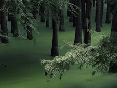 -青山湖景区