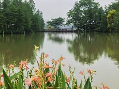 -海珠湖公园