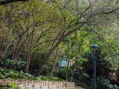 -云溪植物园