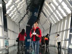-上海环球金融中心云端足球盛典
