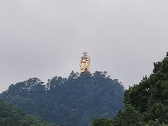 -大金鹰园