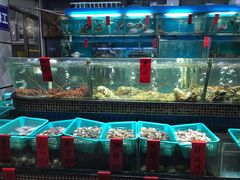 水产区-海大大蒸汽海鲜餐厅·粤菜·特色小炒(欢乐颂店)