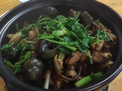 -海兴炭炉鸡(桥中北路店)