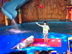 -烟台海昌鲸鲨海洋公园