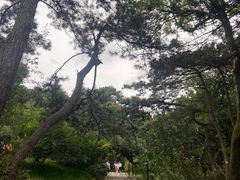 -红螺寺