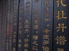 -洛阳市隋唐城遗址植物园