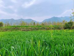 -秦岭风景区