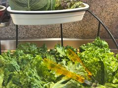 -三千里韩式炭火烤肉(南八马路店)