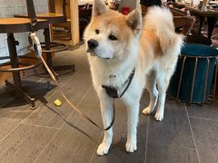 -BOCATA 西班牙餐厅(三里屯店)