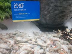 -星伦多自助料理·涮烤一体(江桥万达店)