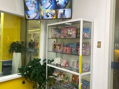 -贝乐少儿英语·全外教(滨江中心)