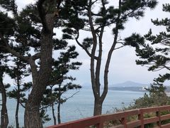 -柱状节理带