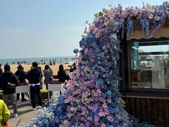 -青岛第二海水浴场