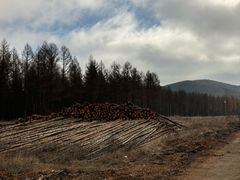 -塞罕坝国家级自然保护区