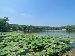 -承德避暑山庄景区