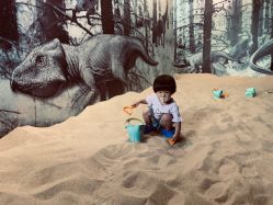 -恐龙探索乐园(磁器口店)