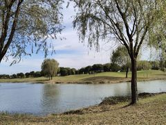 -旭宝高尔夫俱乐部