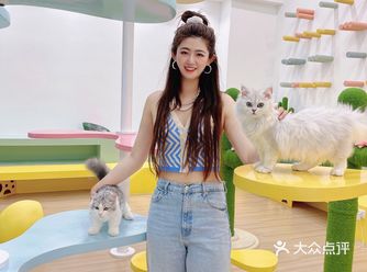 上海探店｜吸猫爱好者的天堂！约会必打卡