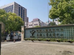 -上海交通大学医学院附属上海儿童医学中心(陆家嘴总院区)