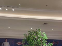 -锦粤宫·精致粤菜(深圳北站店)