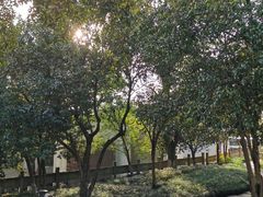 -东航云逸酒店(九溪烟树店)