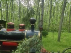 -合肥滨湖国家森林公园