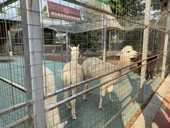 -迪茵湖田家舍生态农场