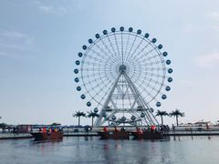 -秦皇岛乐岛海洋王国