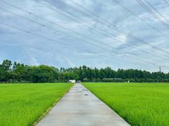 -低涌(地铁站)