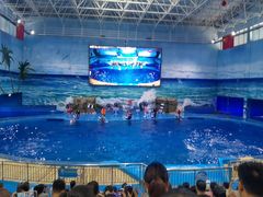 -多彩贵州城极地海洋世界