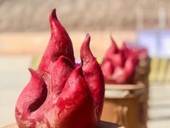 -火焰山景区(火焰山镇)