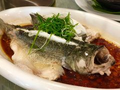 -椿记烧鹅(北门店)