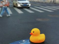 -科巷菜场