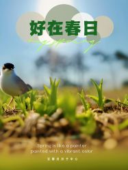 点击看大图 -宝馨月月子中心(友谊医院店)