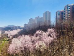 -小绿谷公园