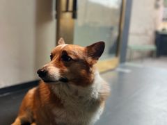 -简象咖啡CAFE ELE JANE(满陇桂雨店)