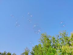 -合肥滨湖国家森林公园