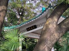-广州市白云山风景名胜区
