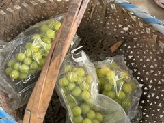 -马陆小张葡萄园农家乐