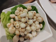 -百年果林椰子鸡(中洲店)